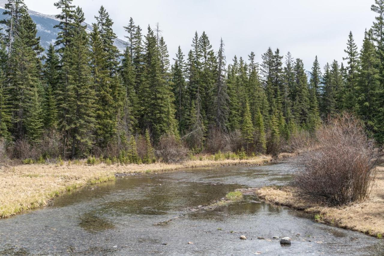 Spring Creek Luxury King One Bedroom At White Spruce Lodge Кенмор Екстер'єр фото